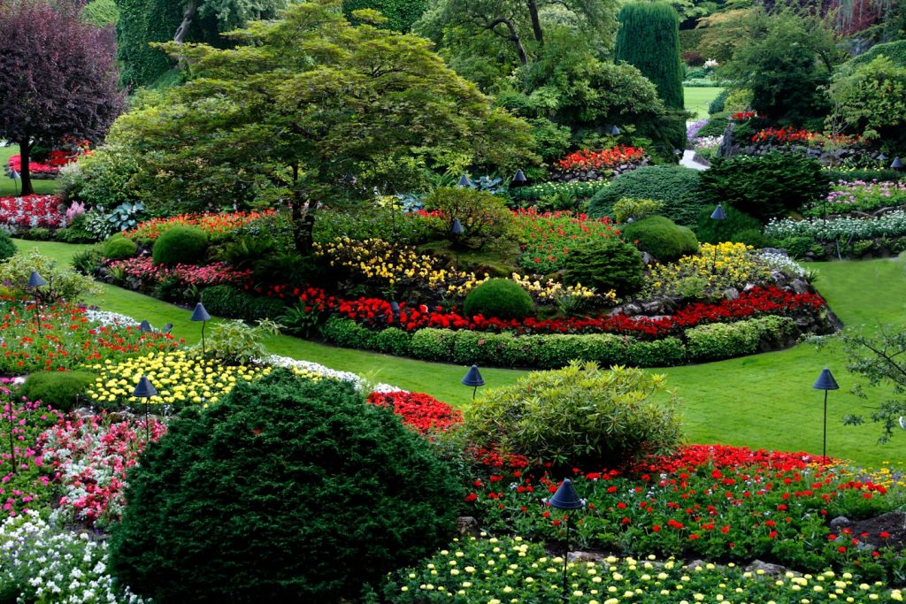 transform your lawn into an arboretum
